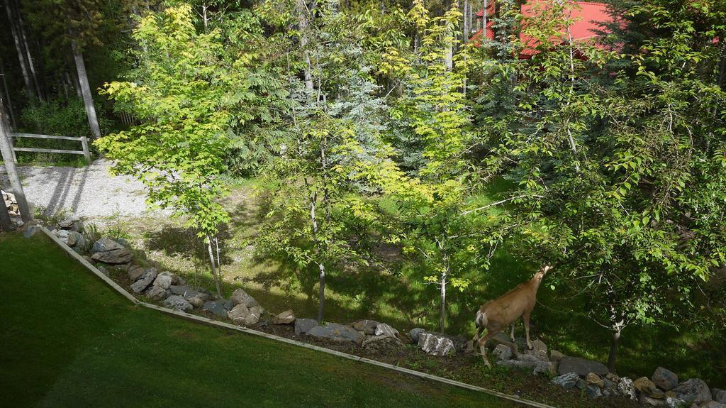 Earl Grey Lodge Panorama Exterior photo